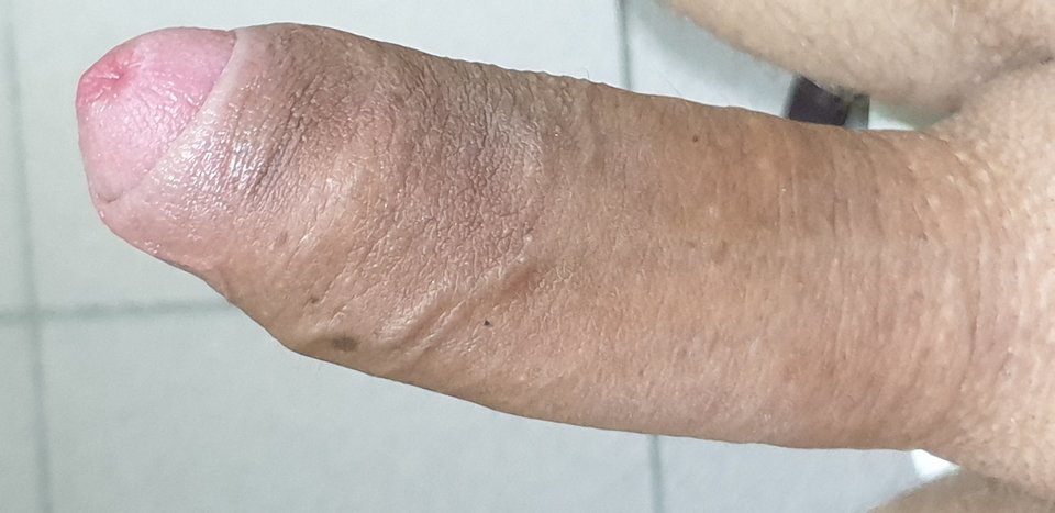 15649170094011229387703716310951.jpg - Kylux