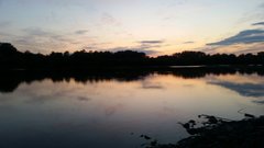 2019-08-05 09.31.53.jpg