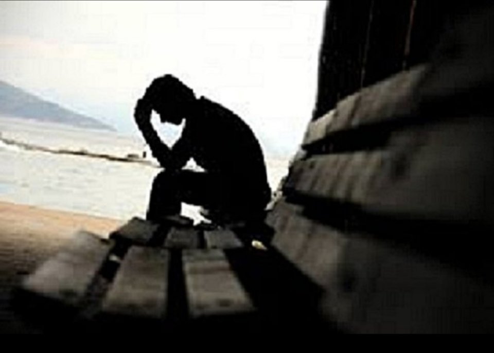 20190804_162938.jpg - dominatorZdunia