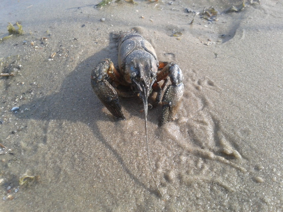 Zdjęcie-0103.jpg - lookin_