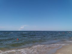 20190803_165003.jpg