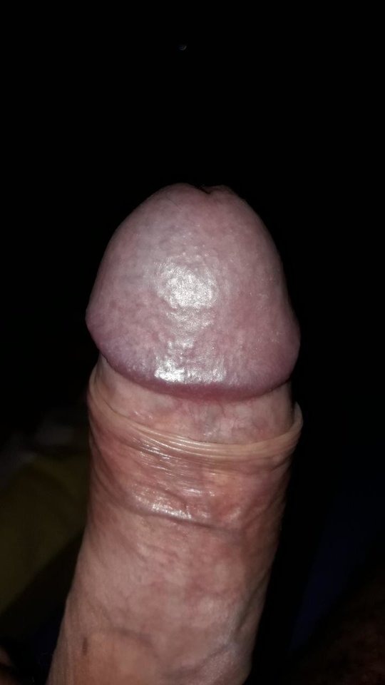 Resized_20190806_061143_344.jpeg - gutek1234