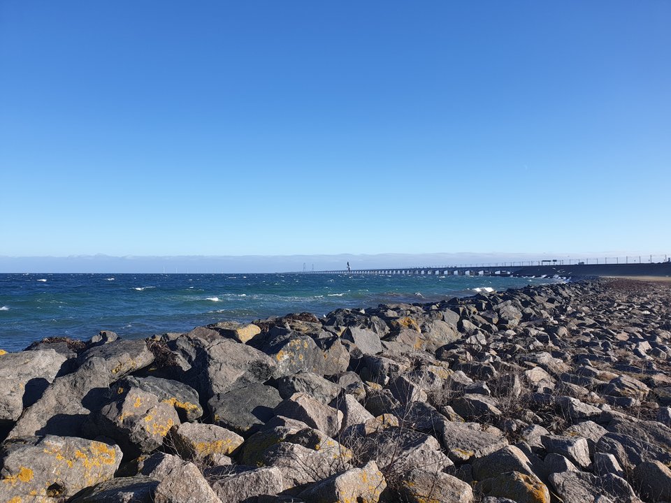 20190211_114419.jpg - WielkiWacek11