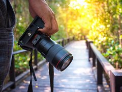 photograf.adult.jpg