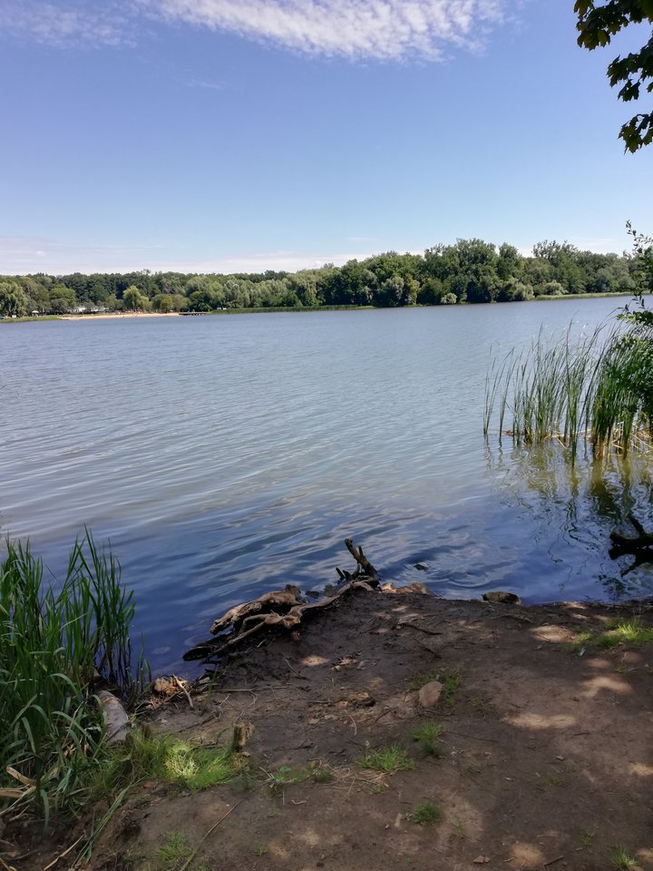 IMG_20180703_112703.jpg - shadik11