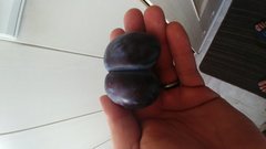 Kobiece kształty ☺.jpg