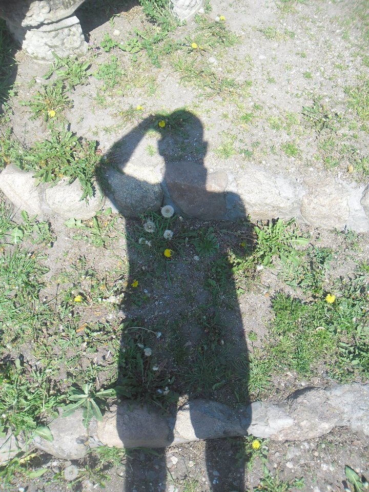 SAM_3664.JPG - koby1981