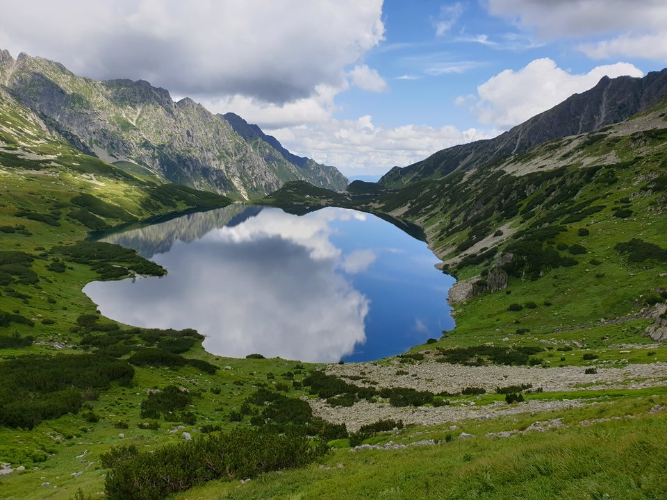 20190725_121802.jpg - ZakazanaStrefa