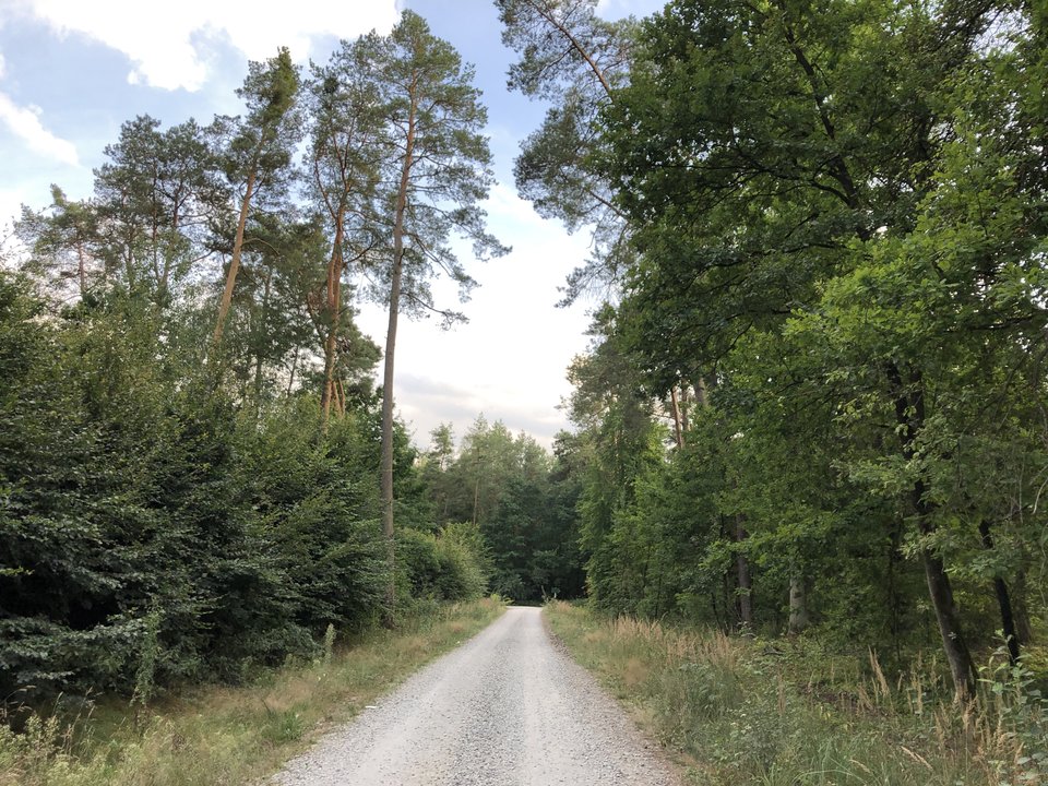 image.jpg - Realista31