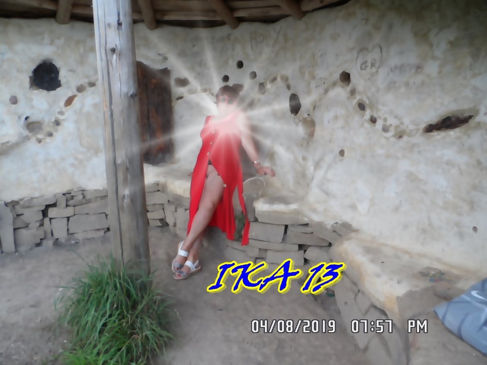 SAM_2195.JPG - ika13