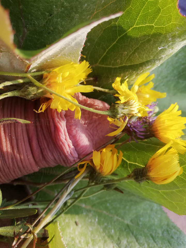 IMG_20190808_072340.jpg - WielebnyiZakonnica