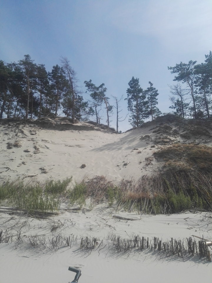 IMG_20190722_150433.jpg - podniecony111