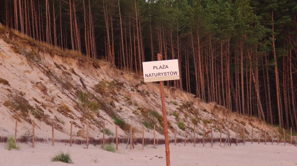 IMG_9202.JPG - eroteooo