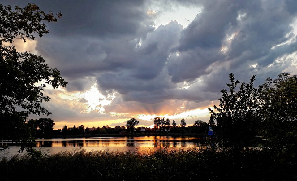 20190808_203312.jpg - Alien65