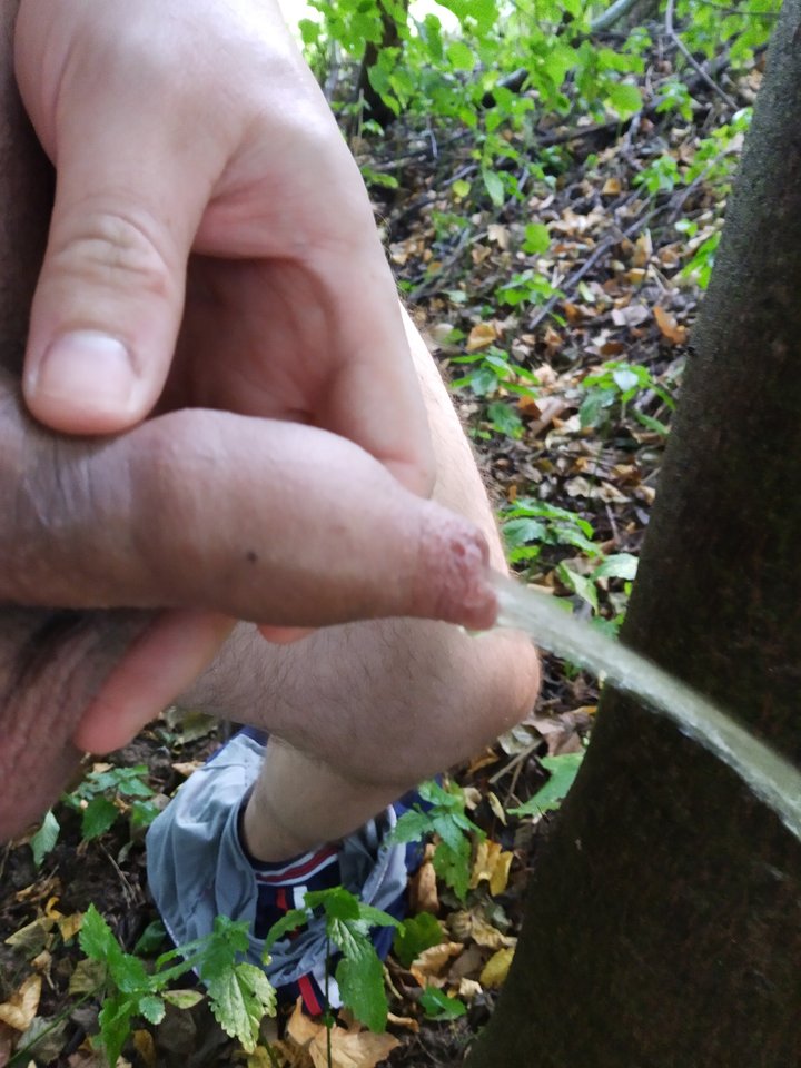 IMG_20190807_183242.jpg - Kriss7788