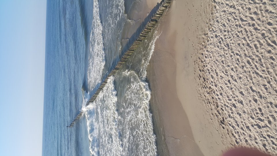 20180611_184609.jpg - tobiasz67