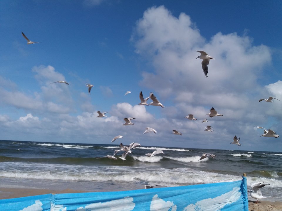 20190809_103055.jpg - koocio