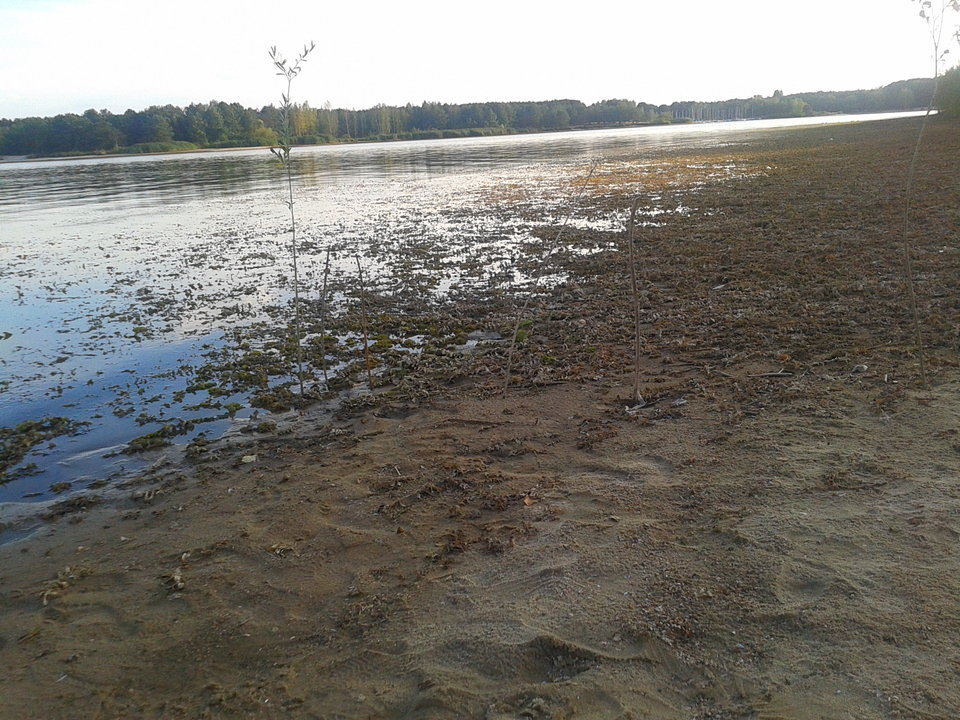 Zdjęcie-0111.jpg - lookin_