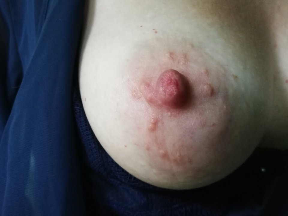 Cycuś z rana jak śmietana... - NormalniWielkopolska