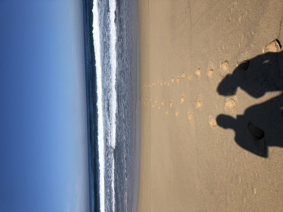 IMG_4808.JPG - Architekci_wspomnien