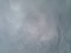 2019-08-10 11.46.55.jpg