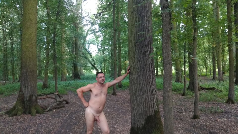 IMG_20190810_190208754.jpg - maniek197804