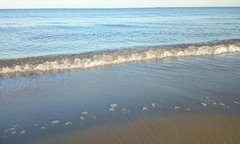 _20190811_021516.JPG