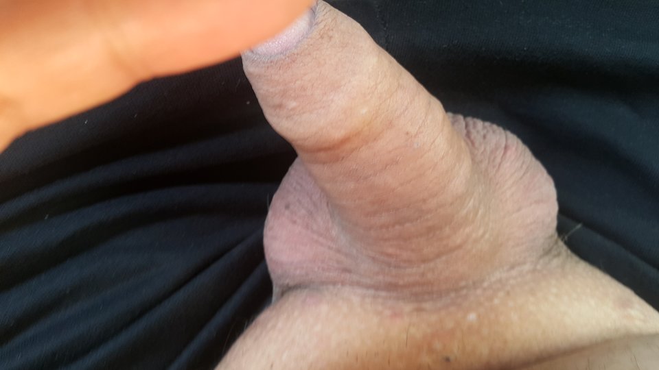 20190811_073536.jpg - Grubasek1970