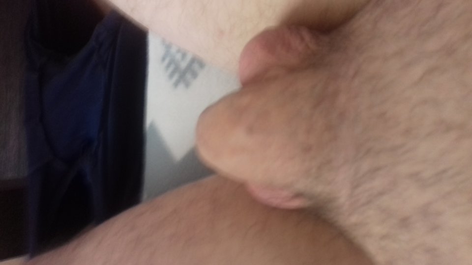 20190811_110013.jpg - aligator234