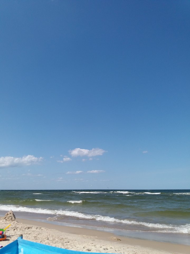 2019-08-11 12.31.58.jpg - koocio