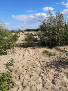 2019-08-11 15.58.38.jpg
