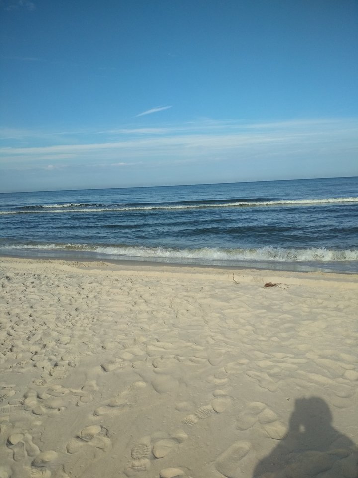 IMG_20181001_104310.jpg - oni9282