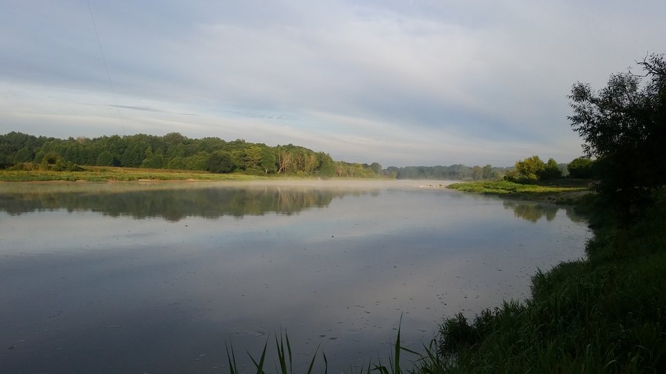 20190810_061610.jpg - skrad_dleihs