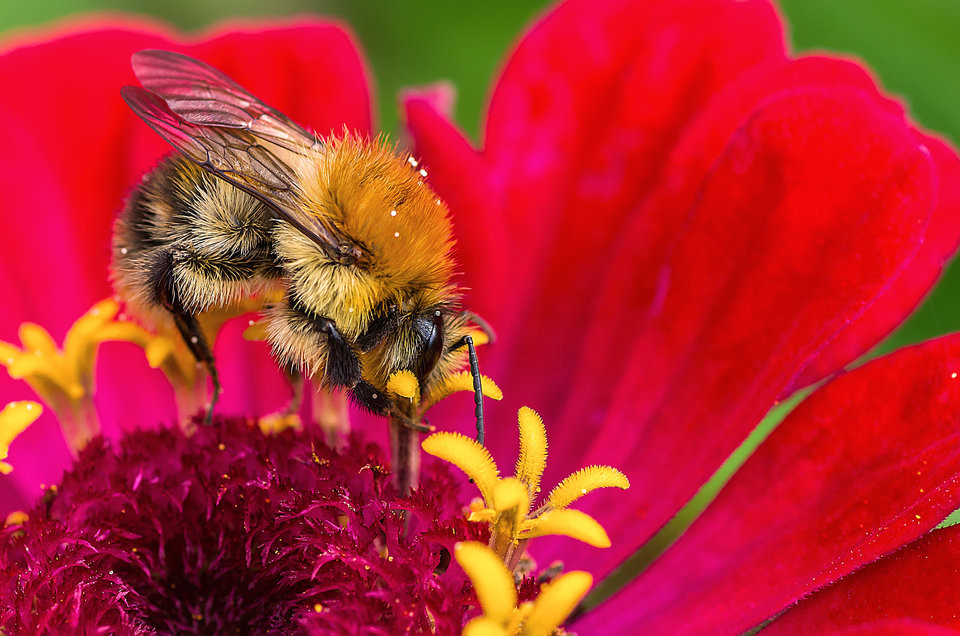 Moczymorda ;) - mystic