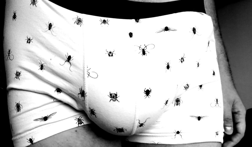 IMG_20190812_121419.jpg - RATCVAC