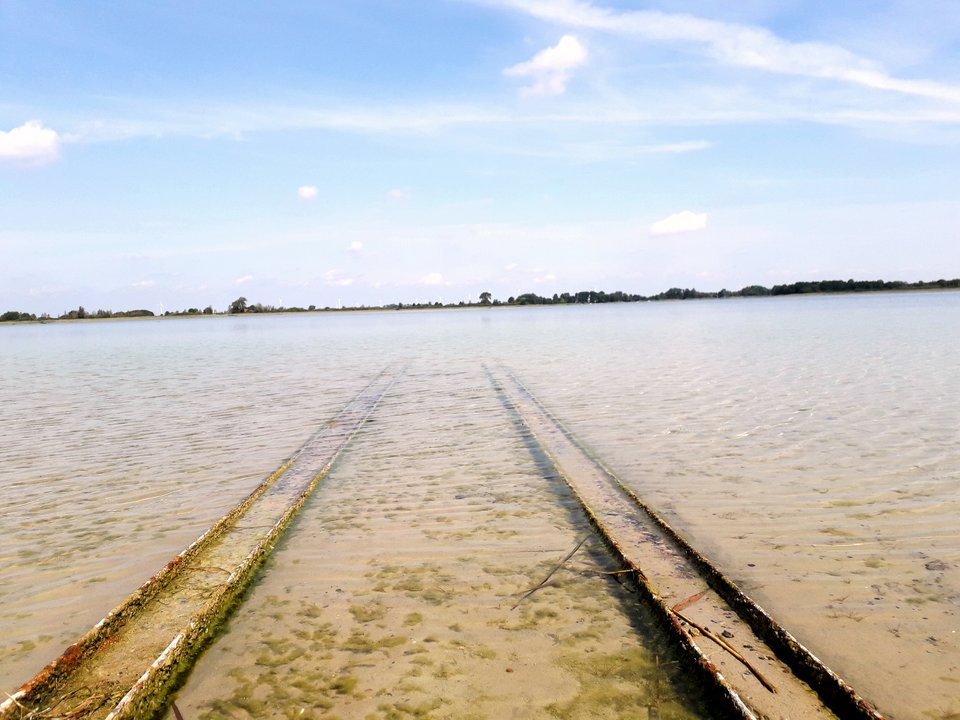 20190810_201801.jpg - Alien65