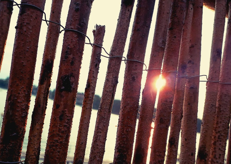 IMG_20190805_193238_644.jpg - Skorpion750