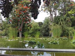 IMG_20190713_152819.jpg
