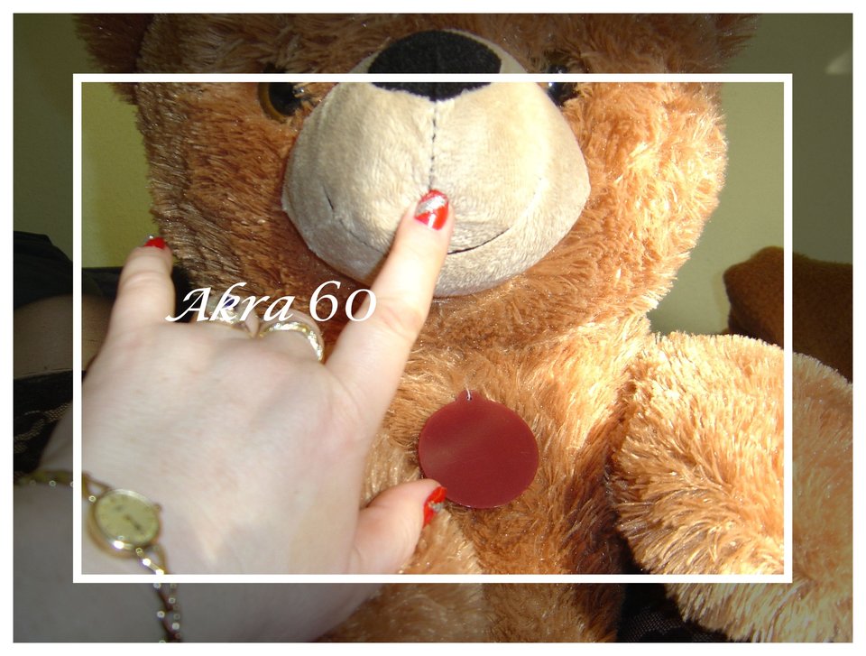 DSC05665.JPG - akra60