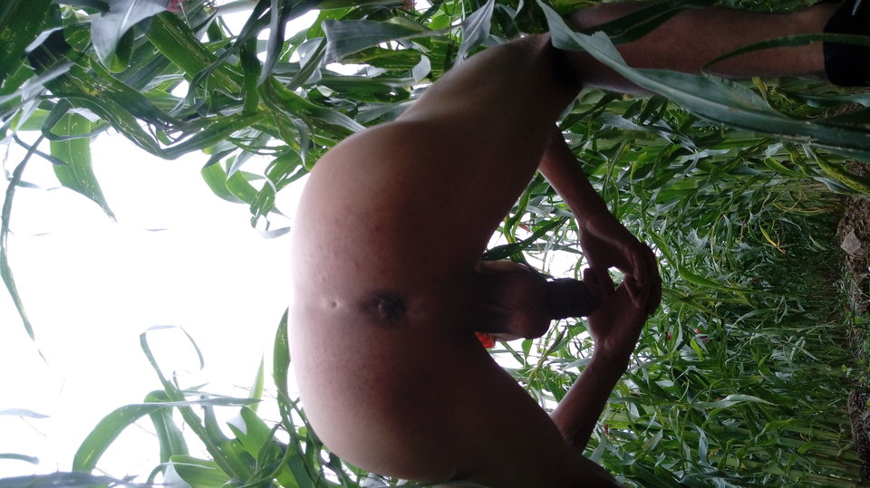 20190813_154854.jpg - Sex28