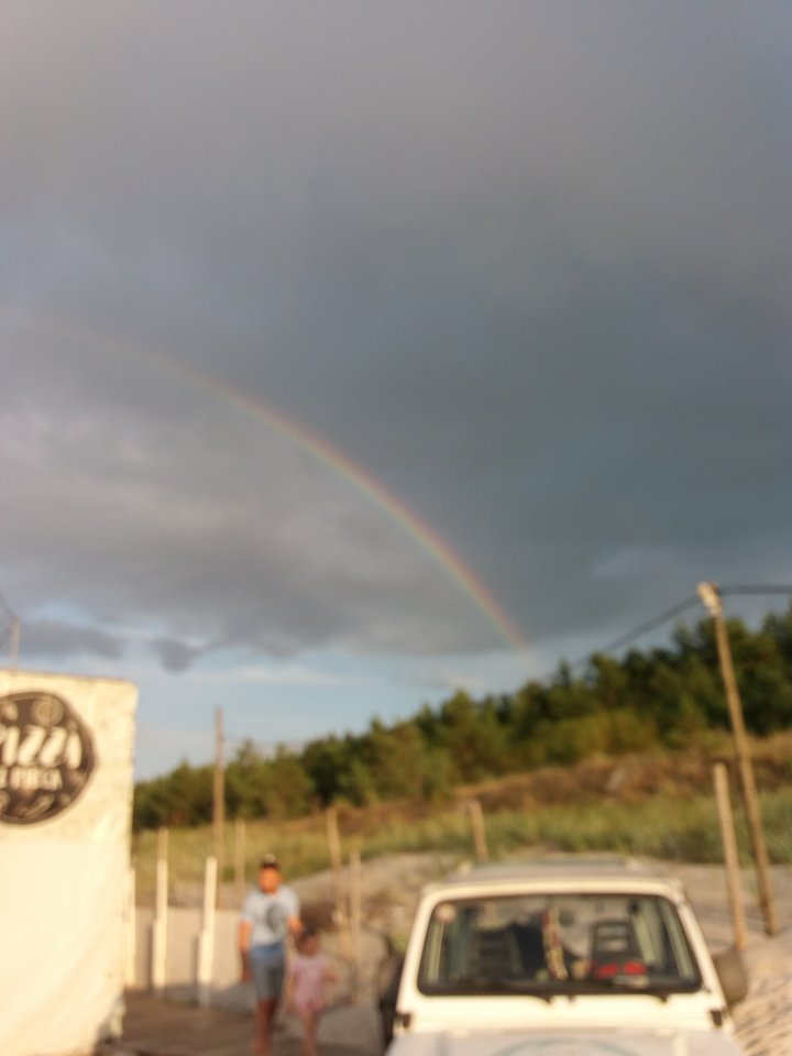 20190813_191313.jpg - sofia64
