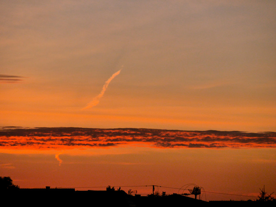 P1080323.jpg - FoKam431