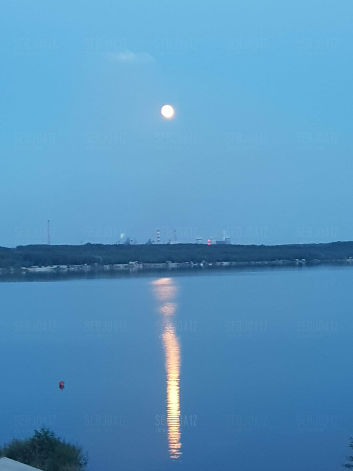 received_1838901409590080.jpeg - SebJoa12