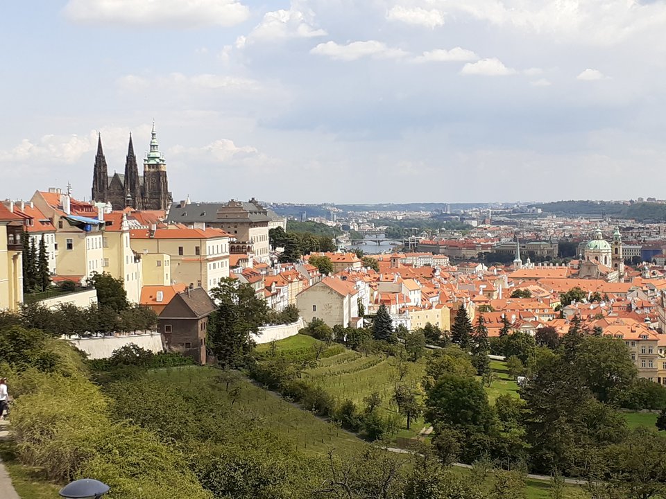 20190814_125304.jpg - Przemodkl79