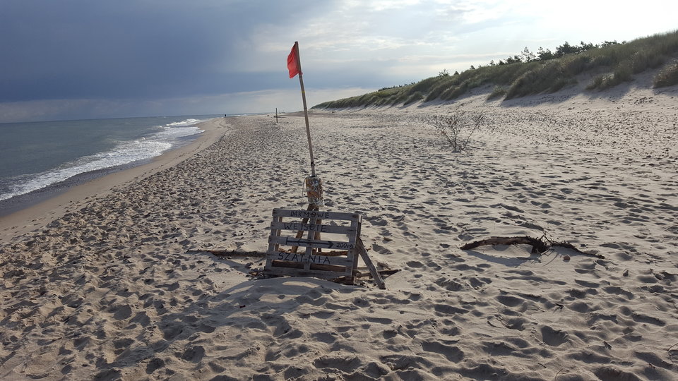 20190815_080120.jpg - olodlnsx