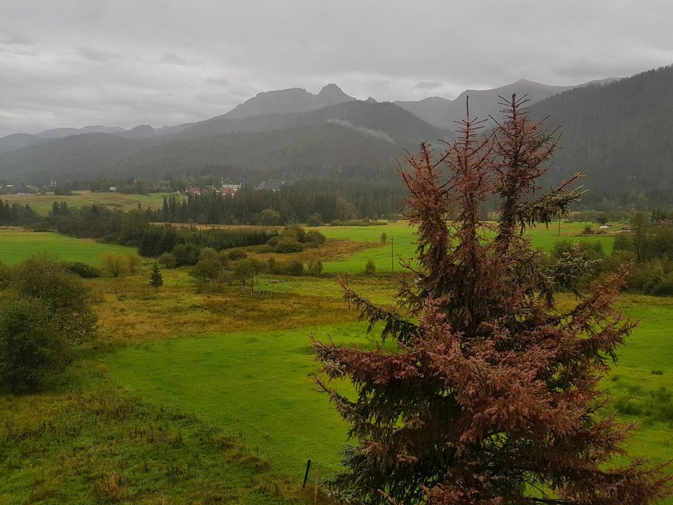 DnsCtyOW0AAjGLF.jpg - Mydwoje0102