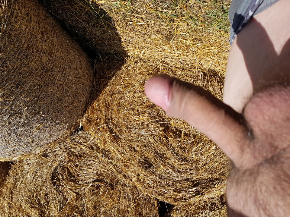 20190815_114614.jpg - smutnykoles84