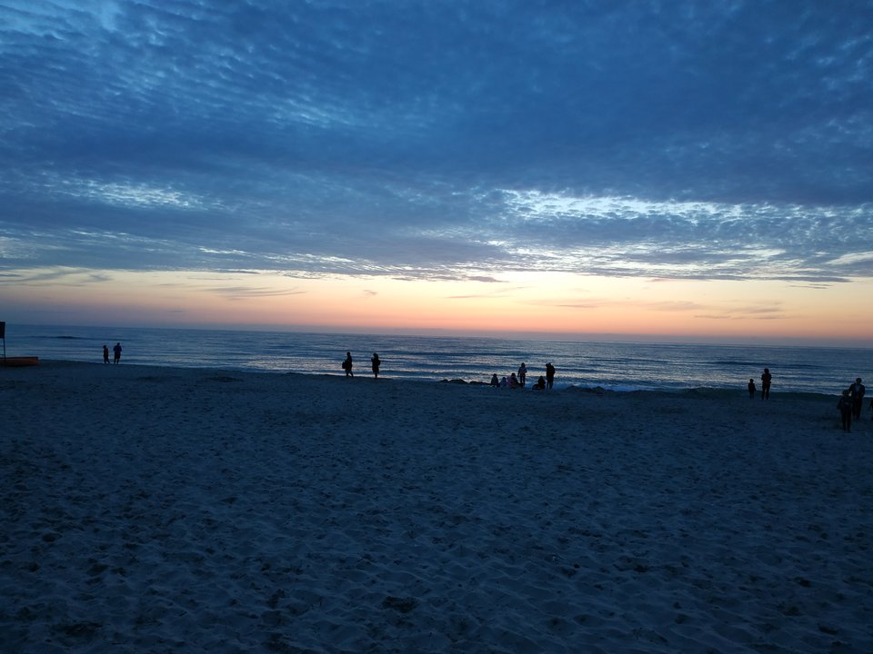 IMG_20190812_205109.jpg - gargi73