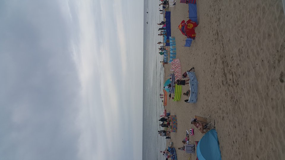 20190815_143147.jpg - tobiasz67