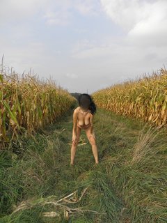 Kukurydziane szaleństwa